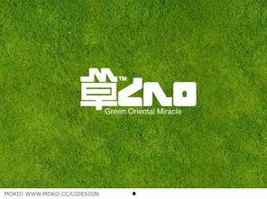 cao国产,历史、文化与现代发展的交融画卷